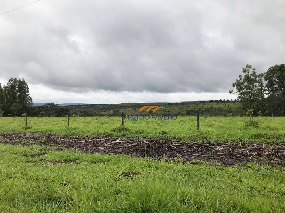 Fazenda, 425 hectares - Foto 15