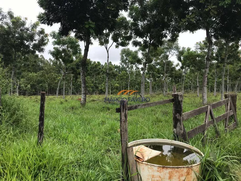 Fazenda, 425 hectares - Foto 16