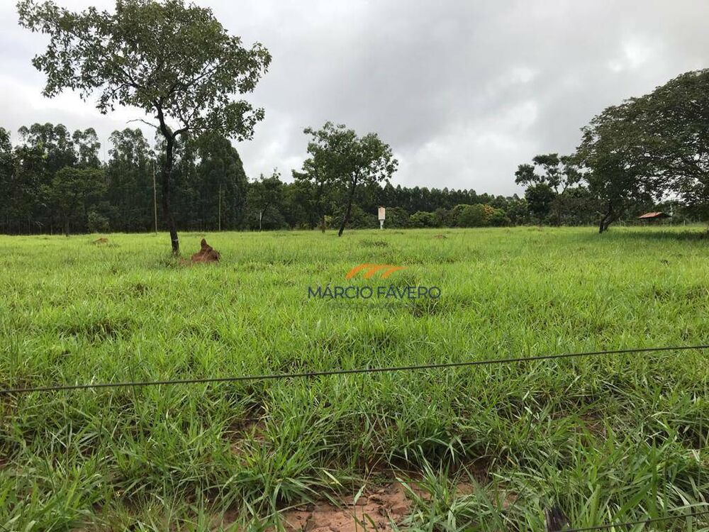 Fazenda à venda, 4250000M2 - Foto 9