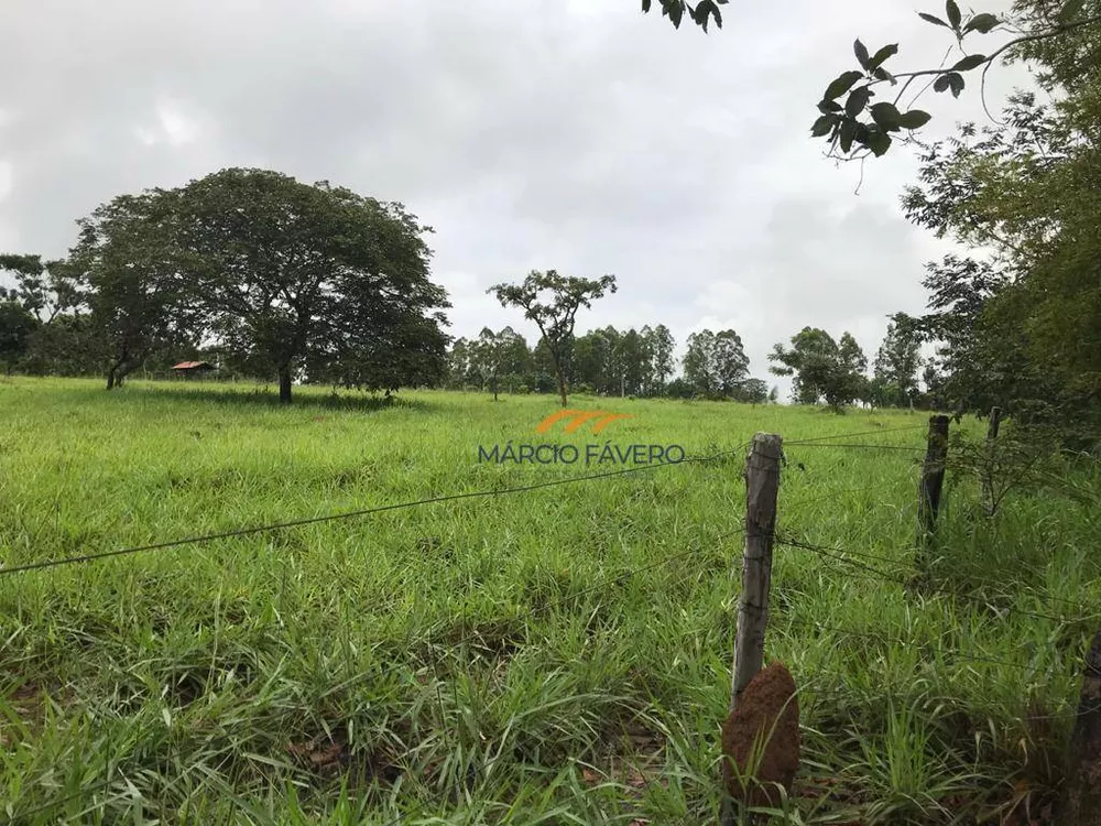 Fazenda, 425 hectares - Foto 22