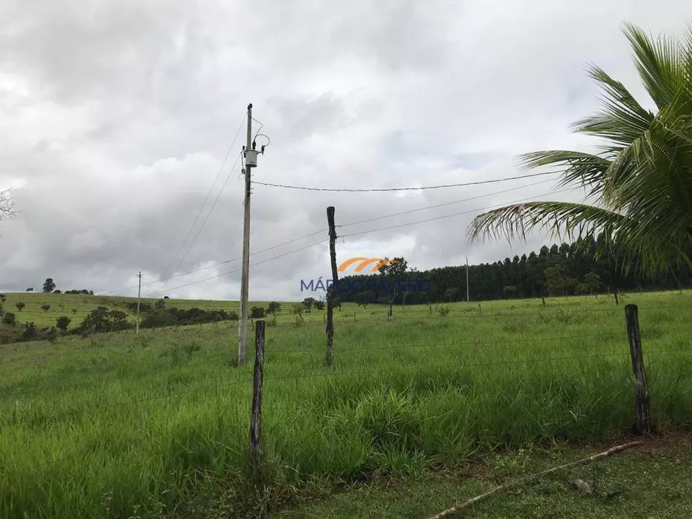 Fazenda, 425 hectares - Foto 18