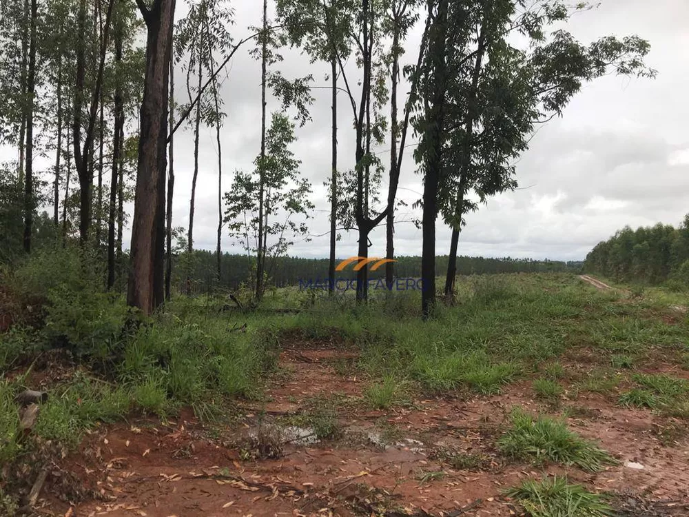 Fazenda, 425 hectares - Foto 14