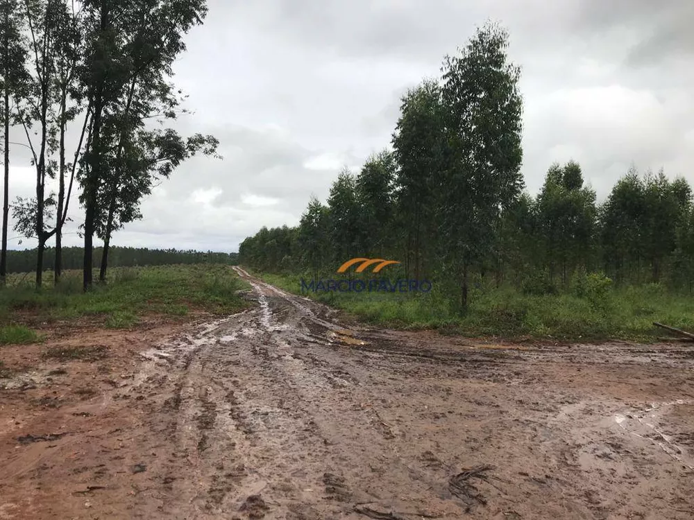 Fazenda, 425 hectares - Foto 19
