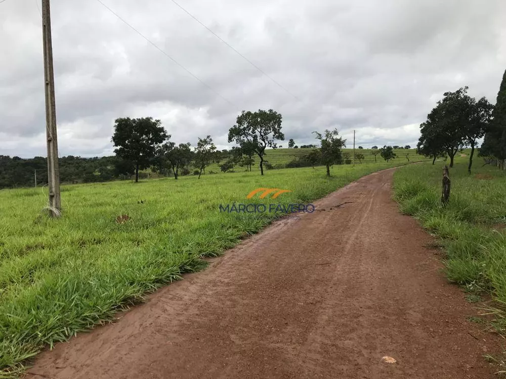 Fazenda, 425 hectares - Foto 1
