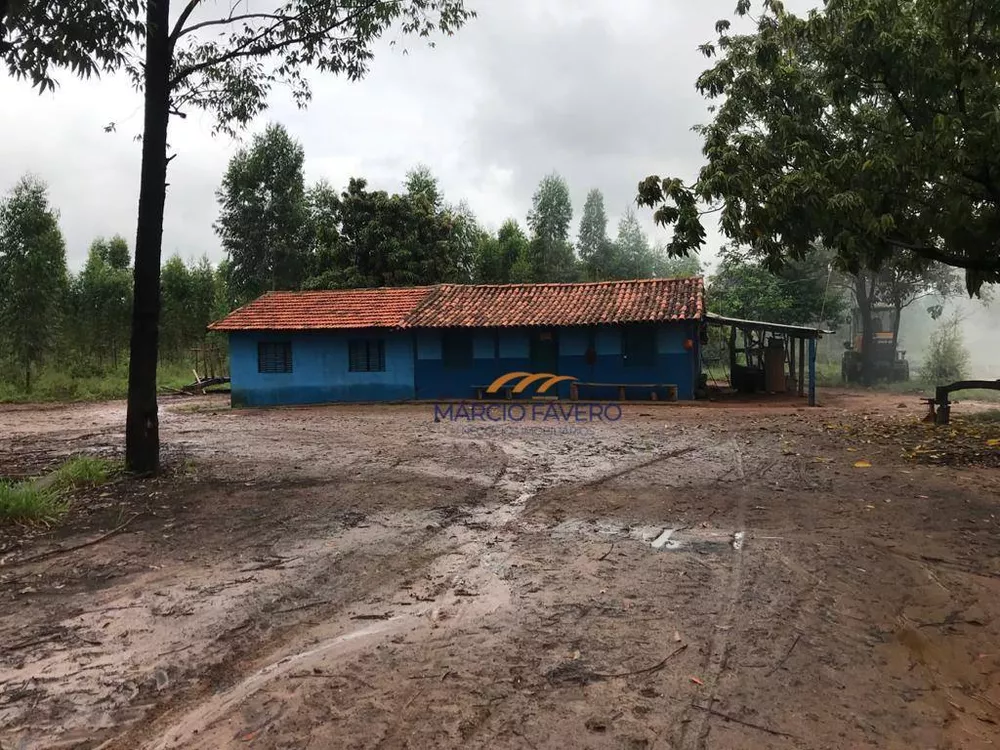 Fazenda, 425 hectares - Foto 7