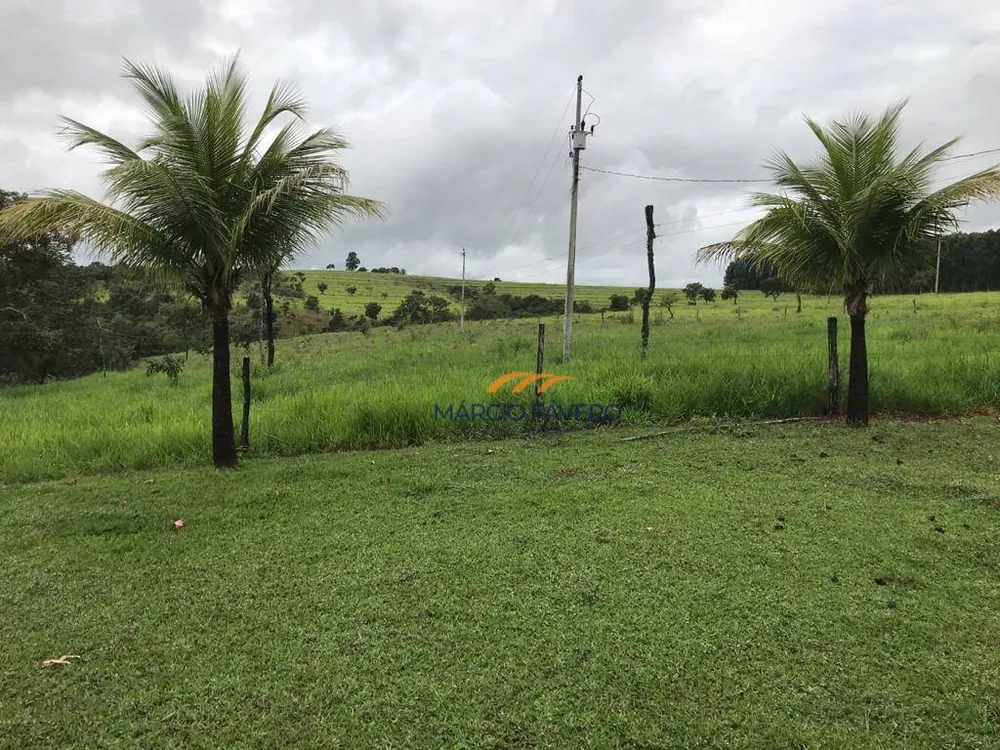 Fazenda, 425 hectares - Foto 13