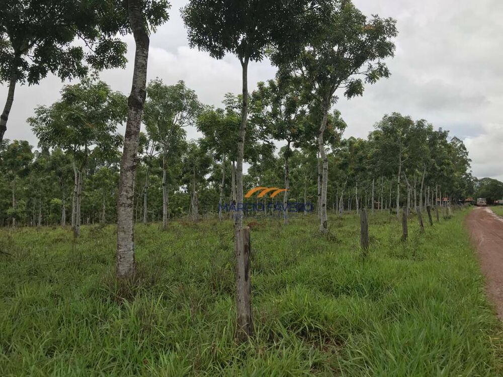 Fazenda à venda, 4250000M2 - Foto 1