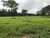 Fazenda-Sítio-Chácara, 425 hectares - Foto 9