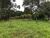 Fazenda-Sítio-Chácara, 425 hectares - Foto 4