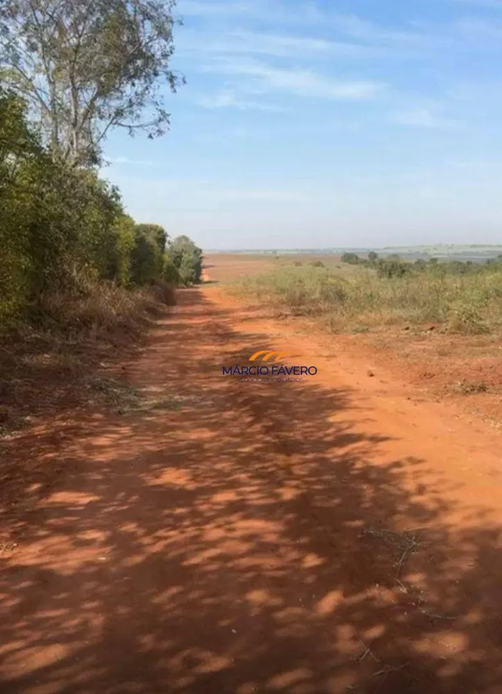 Fazenda, 121 hectares - Foto 3