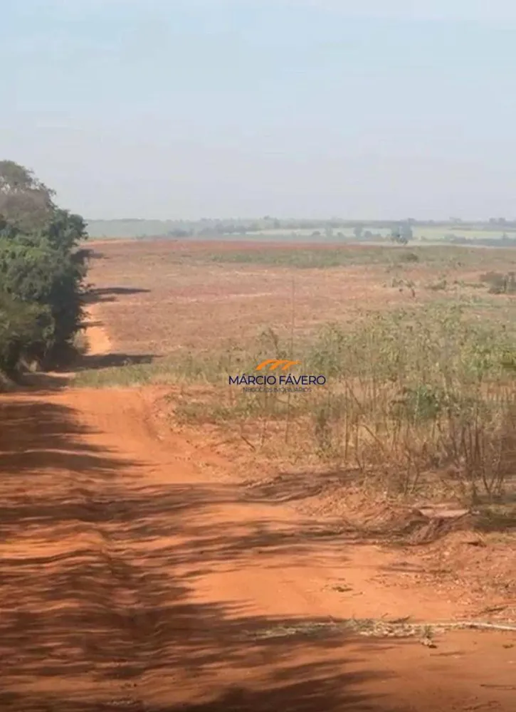 Fazenda, 121 hectares - Foto 4