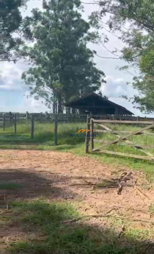 Fazenda, 513 hectares - Foto 4