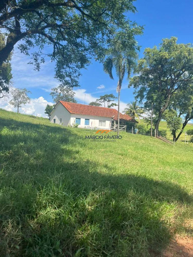 Fazenda, 513 hectares - Foto 7