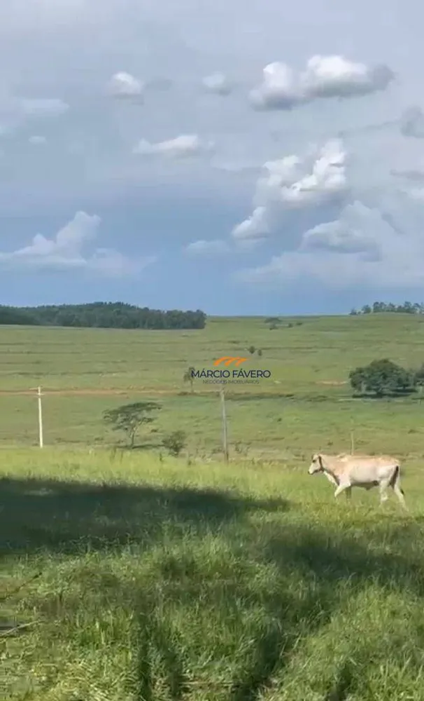Fazenda, 513 hectares - Foto 9