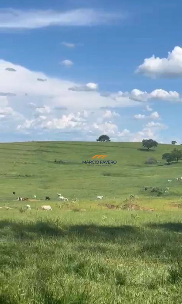 Fazenda, 513 hectares - Foto 8