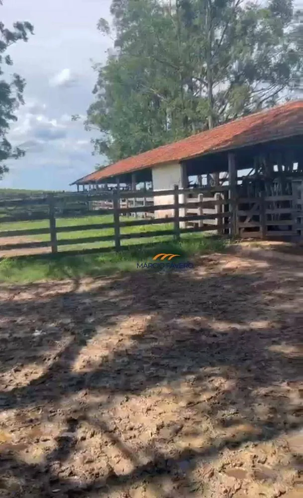 Fazenda, 513 hectares - Foto 5