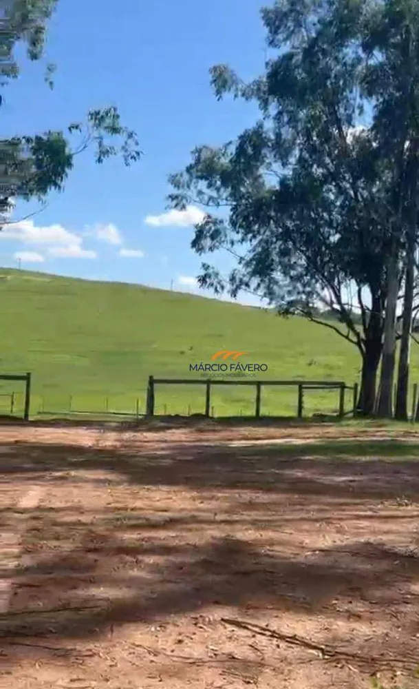 Fazenda, 513 hectares - Foto 1
