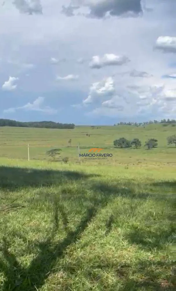 Fazenda, 513 hectares - Foto 2