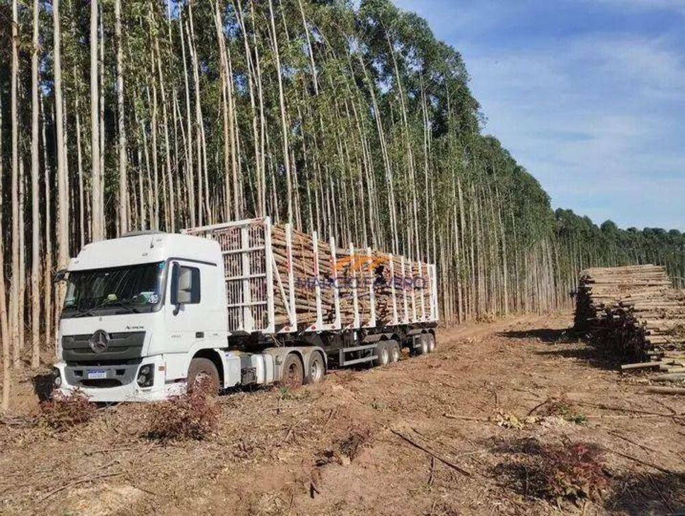 Fazenda, 121 hectares - Foto 1