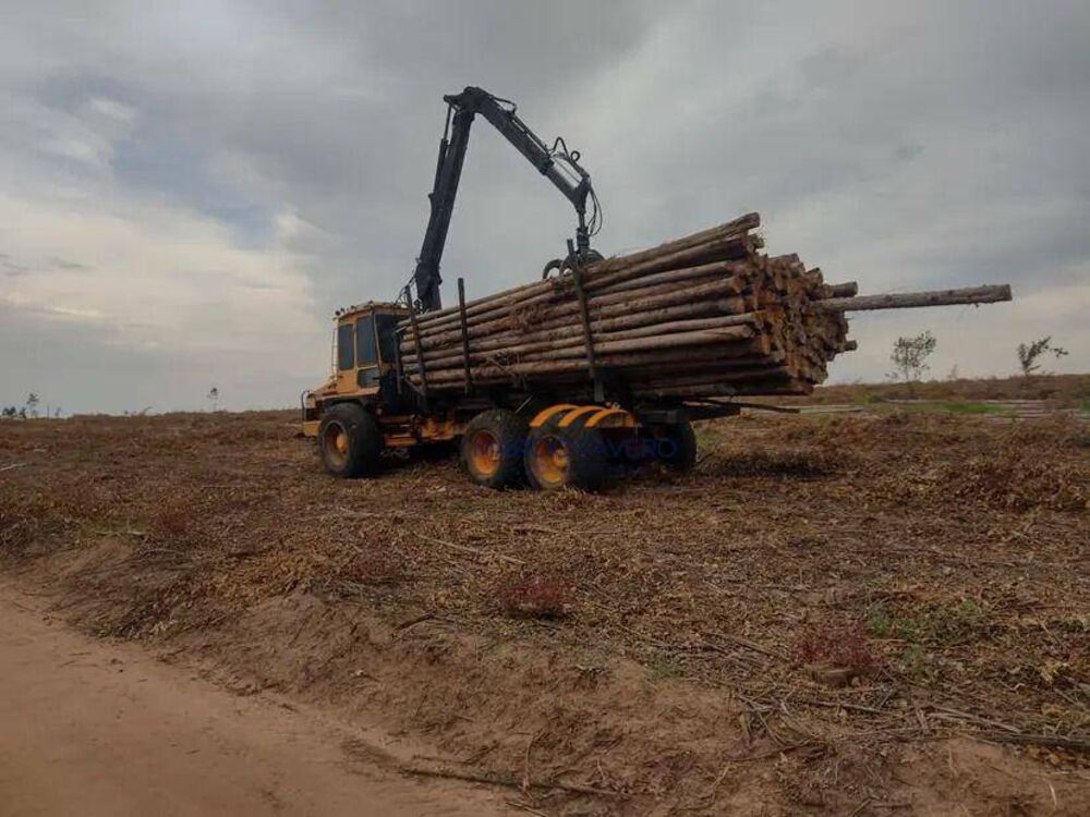 Fazenda, 121 hectares - Foto 3