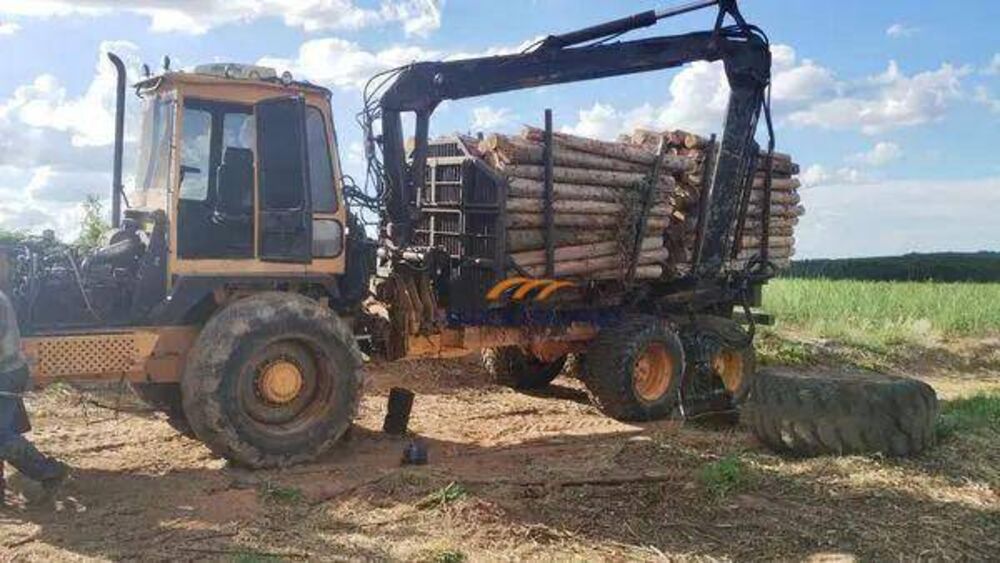 Fazenda, 121 hectares - Foto 4