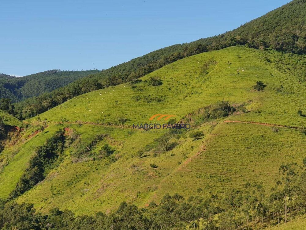 Fazenda, 1019 hectares - Foto 8
