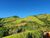 Fazenda, 1019 hectares - Foto 1