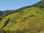 Fazenda, 1019 hectares - Foto 4