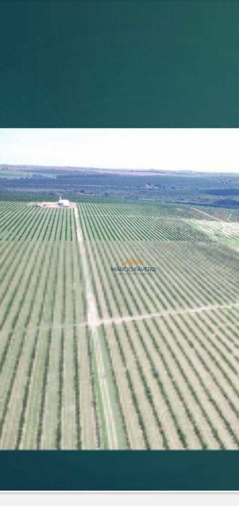 Fazenda, 227 hectares - Foto 1