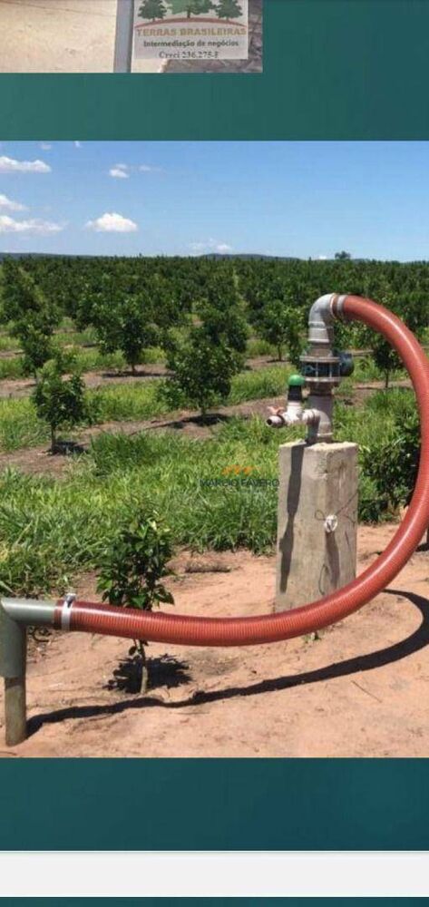 Fazenda, 227 hectares - Foto 3
