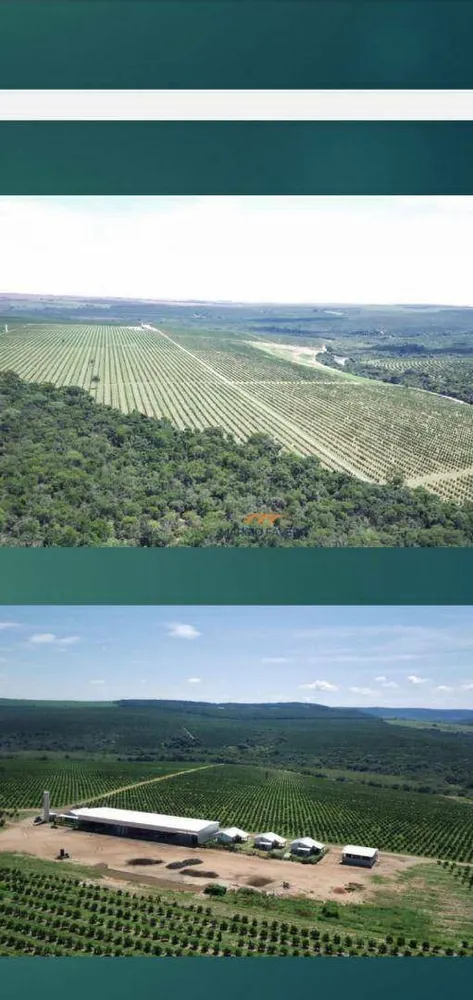 Fazenda, 227 hectares - Foto 2