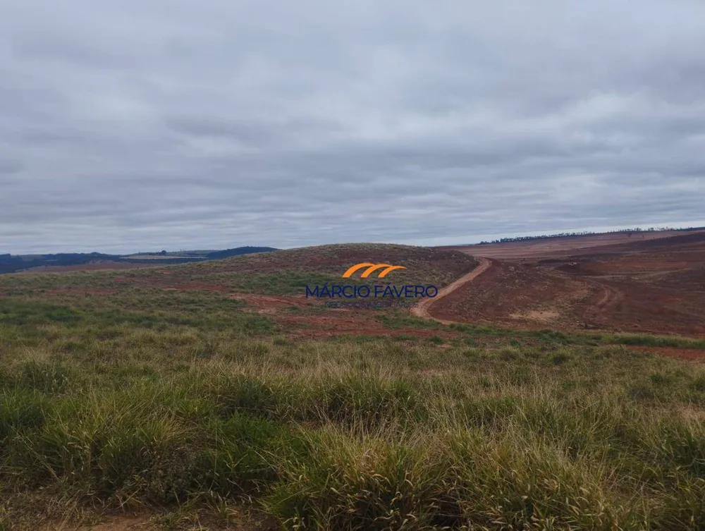 Fazenda, 1198 hectares - Foto 6