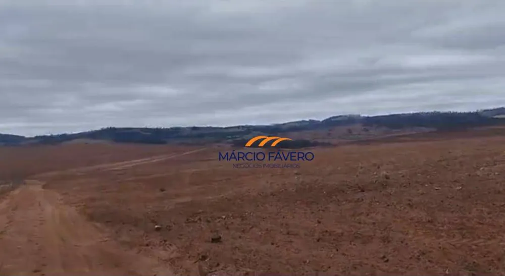 Fazenda, 1198 hectares - Foto 8
