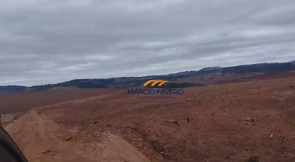 Fazenda, 1198 hectares - Foto 9