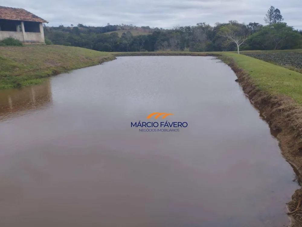Fazenda, 1198 hectares - Foto 10