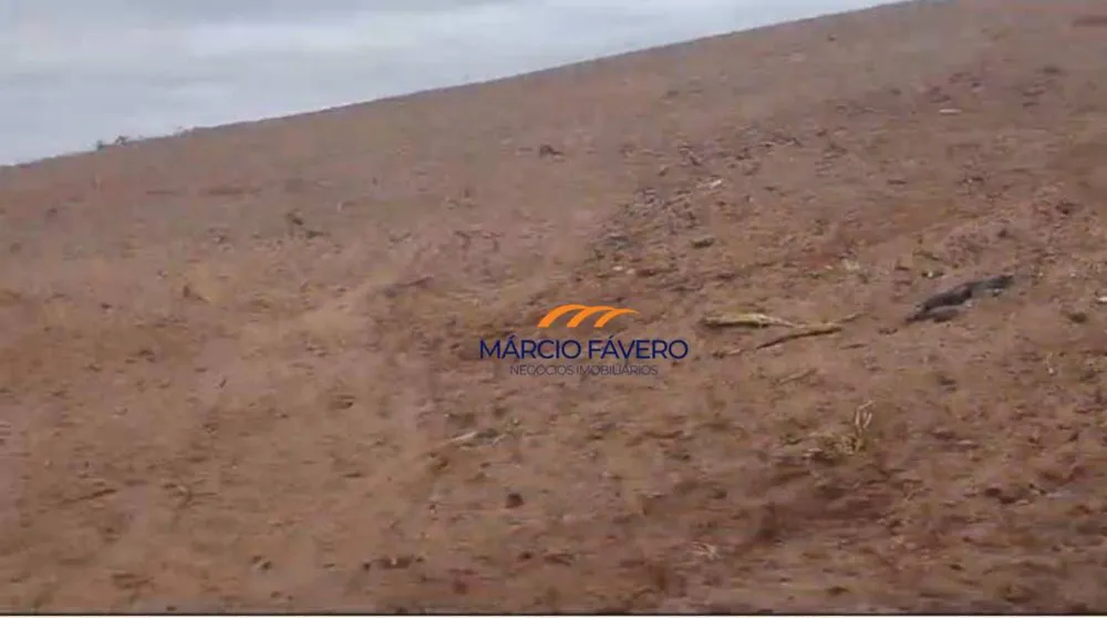 Fazenda, 1198 hectares - Foto 12