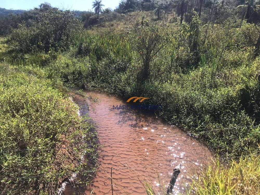 Fazenda à venda, 1452000M2 - Foto 4