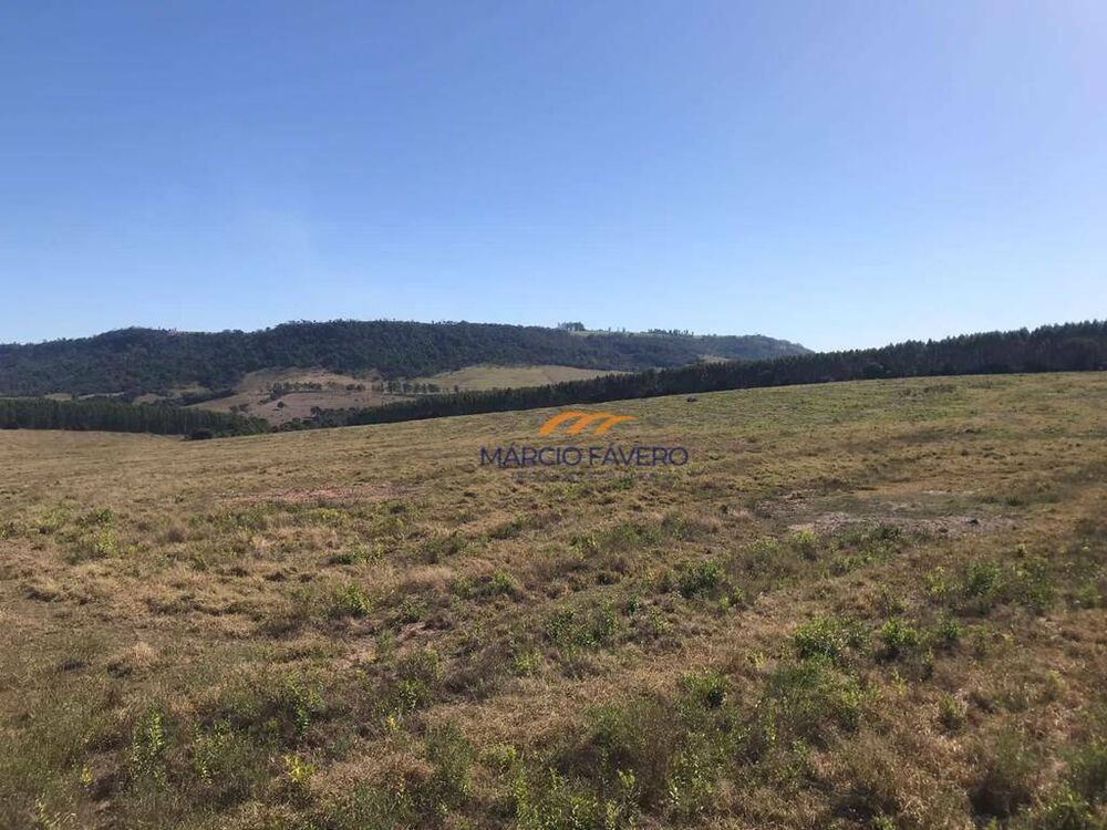 Fazenda à venda, 1452000M2 - Foto 8