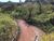 Fazenda-Sítio-Chácara, 145 hectares - Foto 4
