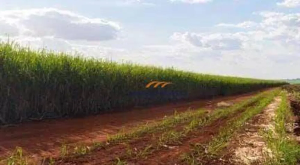 Fazenda, 467 hectares - Foto 4