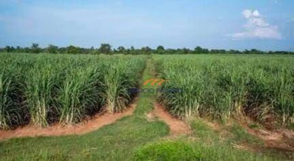 Fazenda, 467 hectares - Foto 6