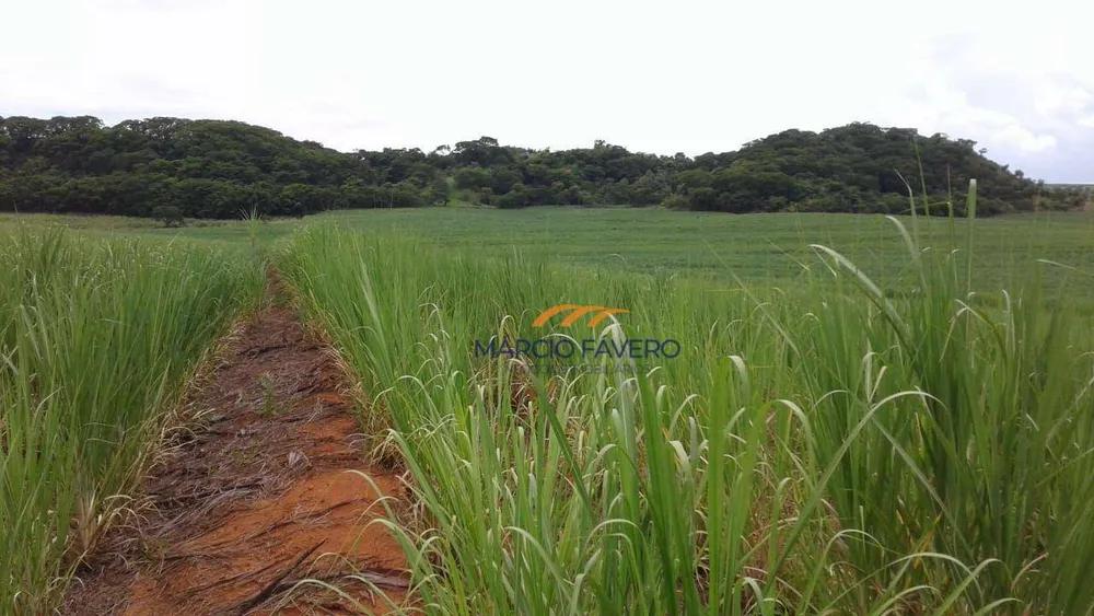 Fazenda, 467 hectares - Foto 5