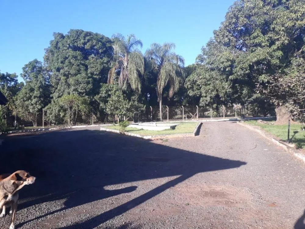 Sítio, 2 hectares - Foto 12