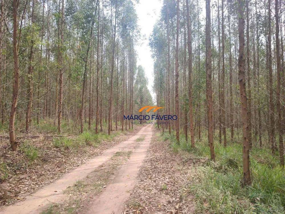Fazenda, 288 hectares - Foto 1