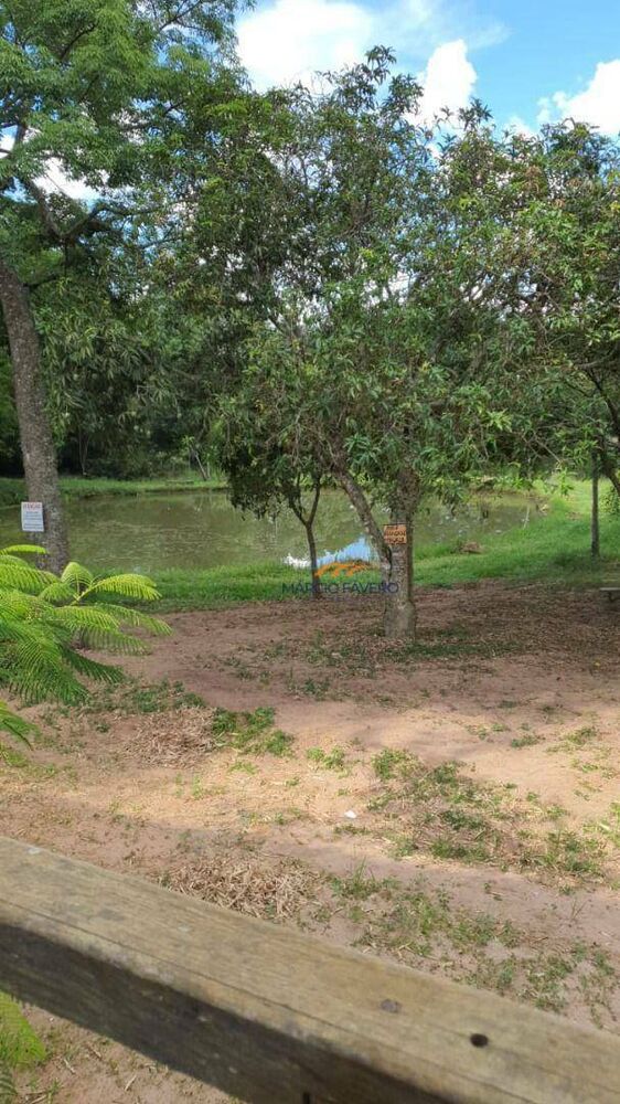 Sítio, 5 hectares - Foto 4