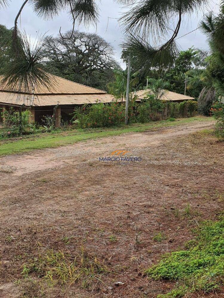 Sítio, 5 hectares - Foto 2