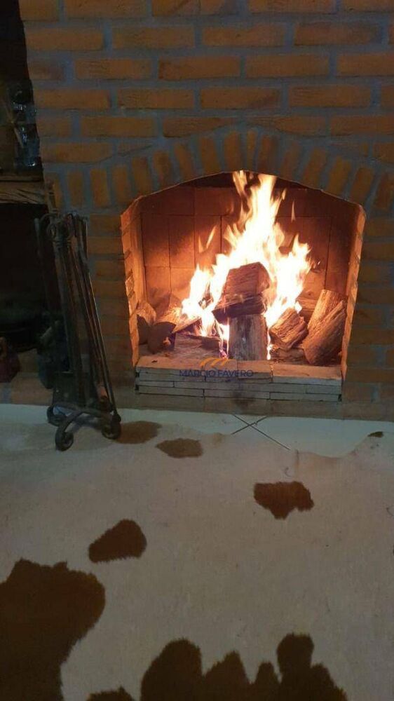 Sítio, 5 hectares - Foto 3