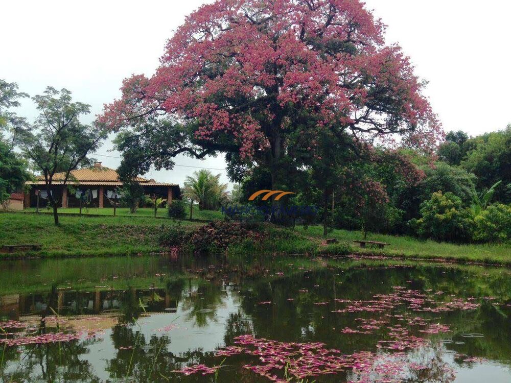 Sítio, 5 hectares - Foto 1