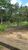 Sítio, 5 hectares - Foto 4