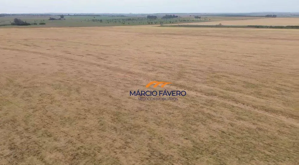 Fazenda, 581 hectares - Foto 11